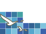 Pandora Inn